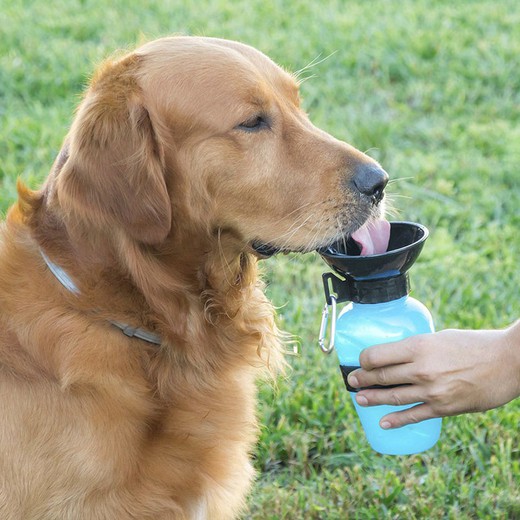 Bebedero para perro INNOVAGOODS Botella Bebedero Mascotas Innovagoods