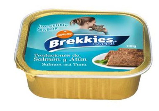 Brekkies Cat 100Gr Tarrina Salmon