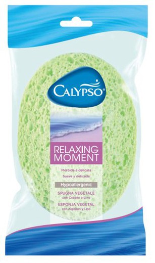 Calypso Esponja Relaxing Moment