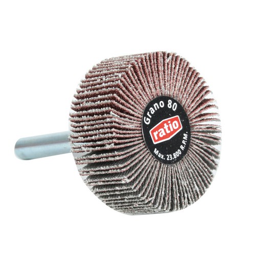 Brosse à lame abrasive avec tige RATIO. Lame Brosse 40X15 A-120 Ratio