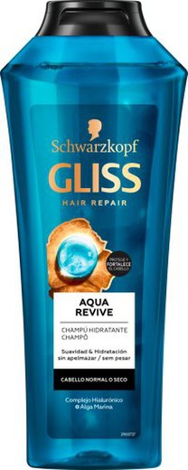 Gliss Aqua Revive Ch 370