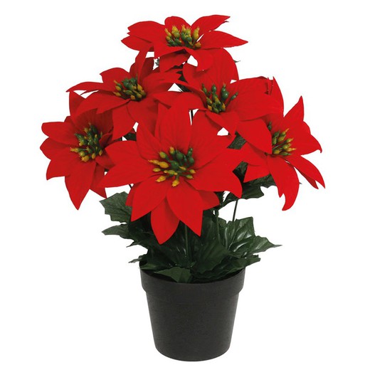 Maceta Poinsettia 30 Cm.