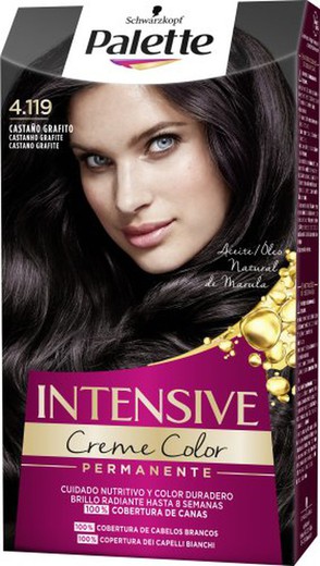 Palette Intense N. 4.119 Castaño Grafito