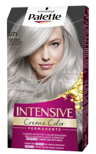 Palette Intense N. U.71 Gris Plata