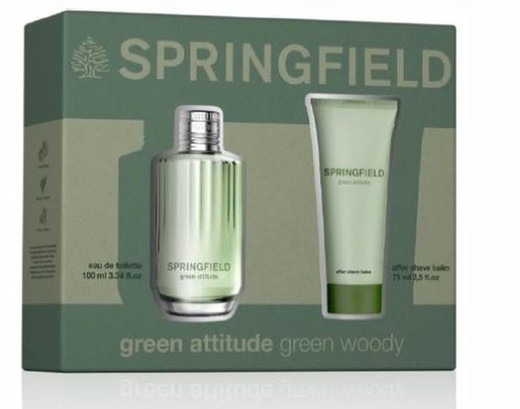 Springfield Green Estuche (Col100V+B75)