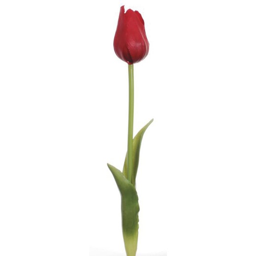 Vara Tulipan Goma Rojo