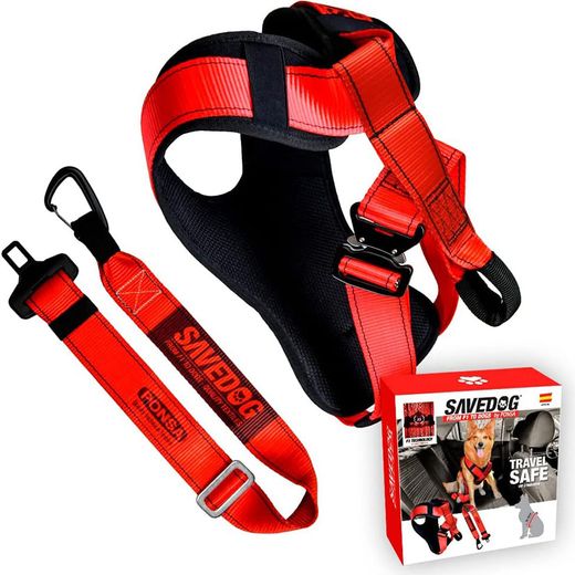 Arn茅s Seguridad Perro Ponsa Savedog