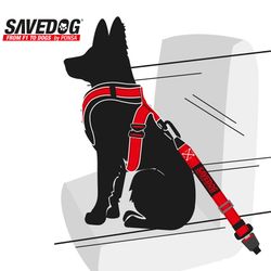 Arn茅s Seguridad Perro Ponsa Savedog