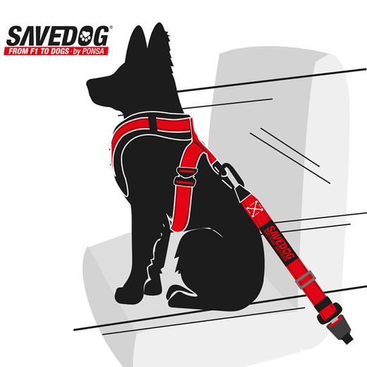 Arn茅s Seguridad Perro Ponsa Savedog