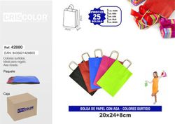 Sac à poignée couleurs assorties (25u)20+8x24 42880