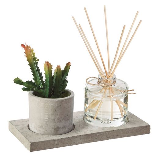 Caixa de Aromas + Planta 20X10 Cm.