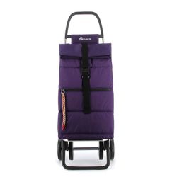 Carro compra Big Polar 4 ruedas Rolser