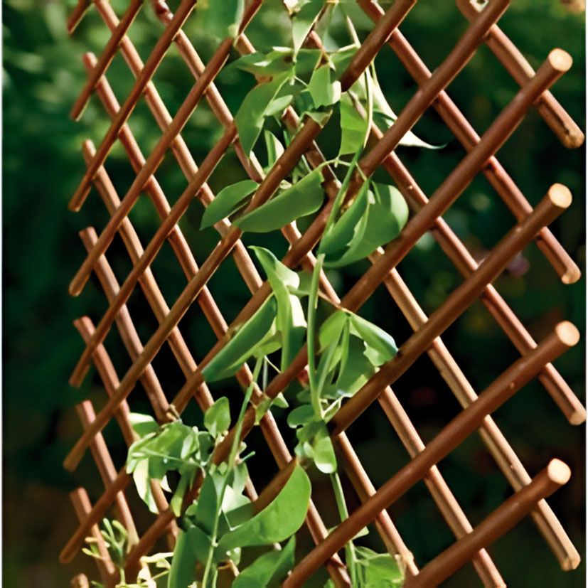 Celosia Extensible De Mimbre  0,5 X1,5 M