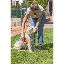 Raspall Metalic Gos Pets Club Taronja