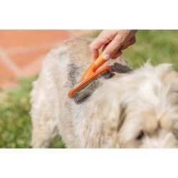 Raspall Metalic Gos Pets Club Taronja