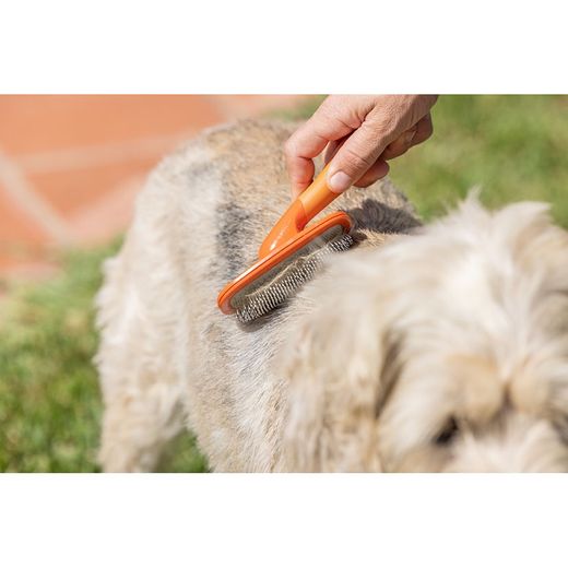 Raspall Metalic Gos Pets Club Taronja