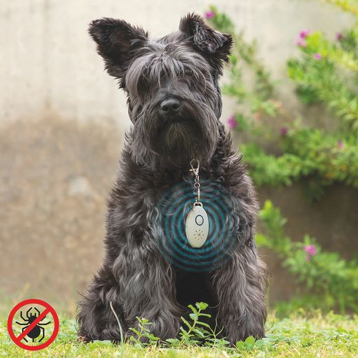 Colgante Antiparásitos Para Mascotas