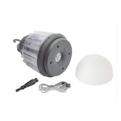 Mata-insetos/Lâmpada portátil 2 em 1