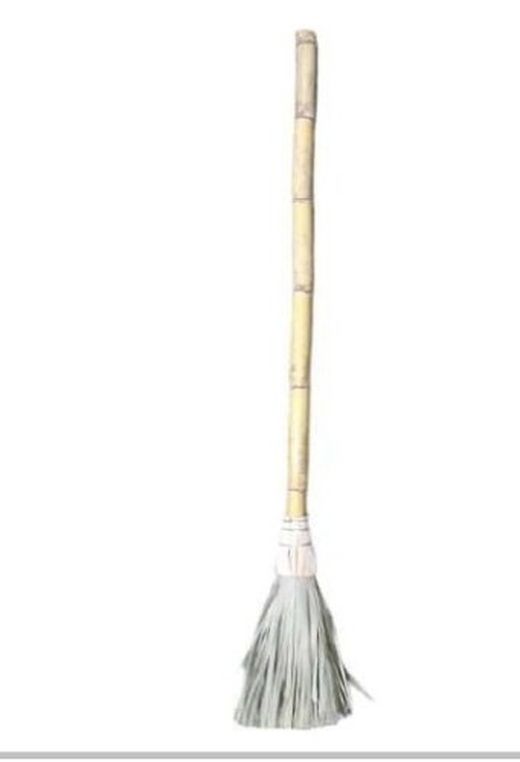 Escombra De Palma 623546