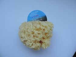 Esponja Natural Caribenha N.12 R-2020