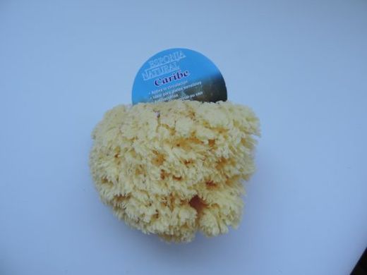 Esponja Natural Caribenha N.12 R-2020