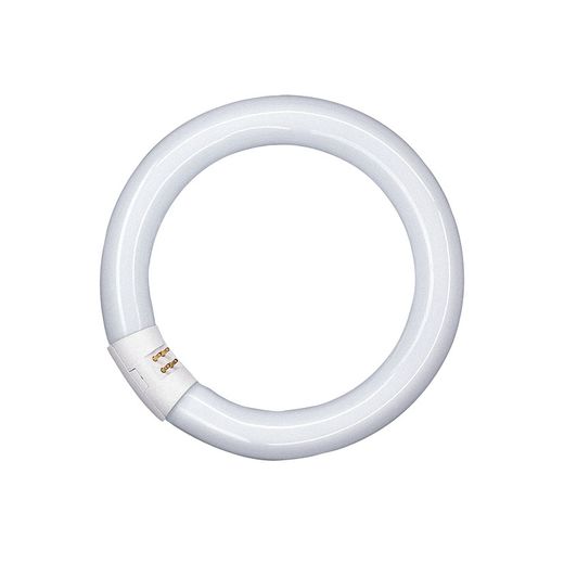 Fluorescente Circular T9 22W/865 12 Unid