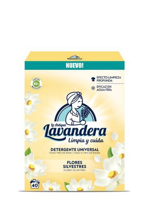 Blanchisseuse Dét. Poussière (40 D.) Universel