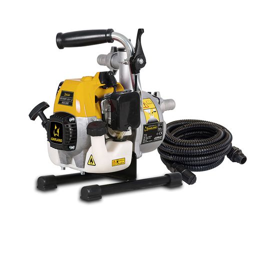 Bomba de motor a gasolina Geiser 281g-V17