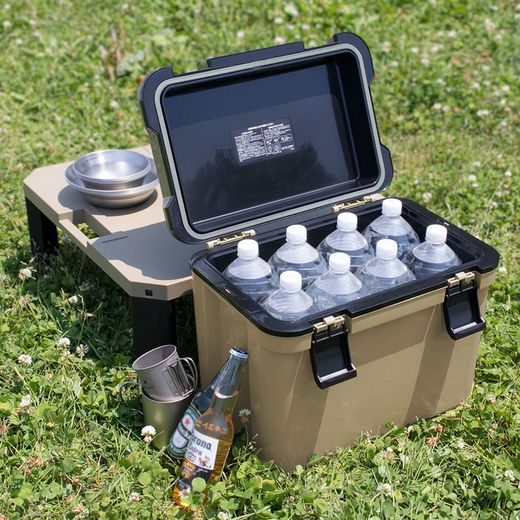 Réfrigérateur rigide 25 L Beige Habitex Dakar