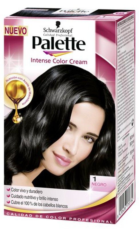 Palette Intense N. 1.0 Negro