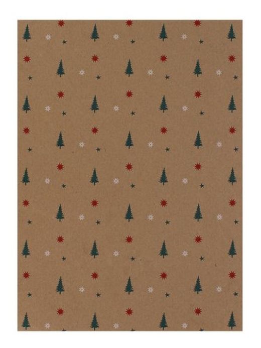 Papel Regalo Bob.70x200 Eco Nature 754n