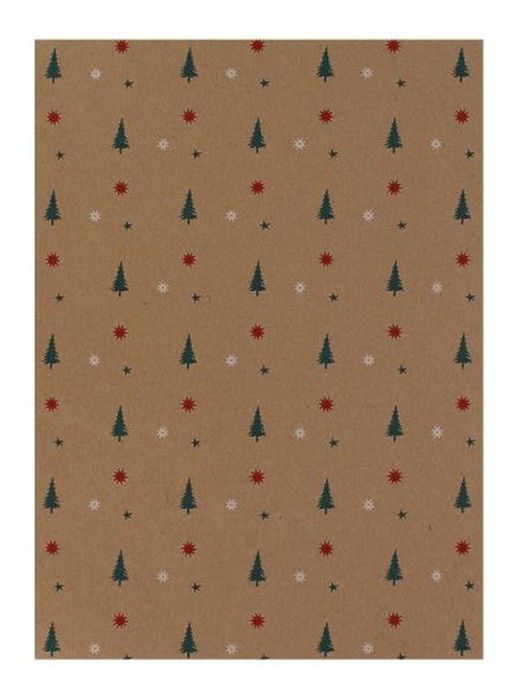 Papier Cadeau Bob.70x200 Eco Nature 754n