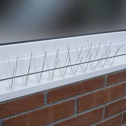 Pointes de pigeon SWISSINNO. Répulsif/Broches Pigeons Policarb.1M