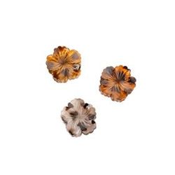 Pinça Pèl Flor 5 Petal.4C Carey Pa209-2