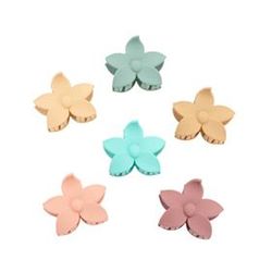 Pinça Pèl Flor 5 Petal.5Cm.Surt.Pa205-1