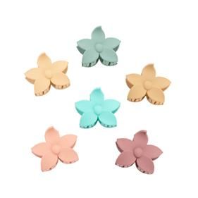 Pinça Pèl Flor 5 Petal.5Cm.Surt.Pa205-1