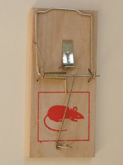 Ratoeiras de ripas médias R-3300