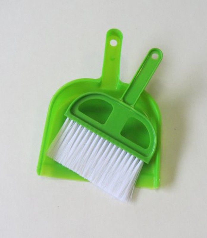 Recogedor Coche+Escobilla Auto