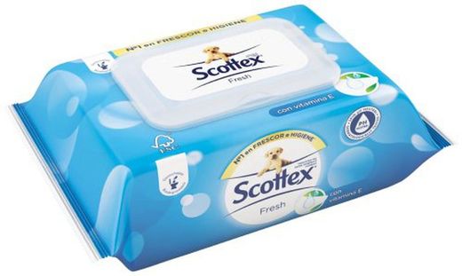 Scottex Hig. Humide (74)