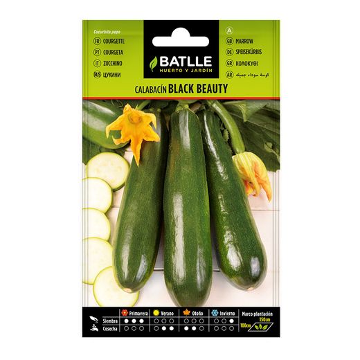 Semillas Calabacin Black Beauty 10 Bol