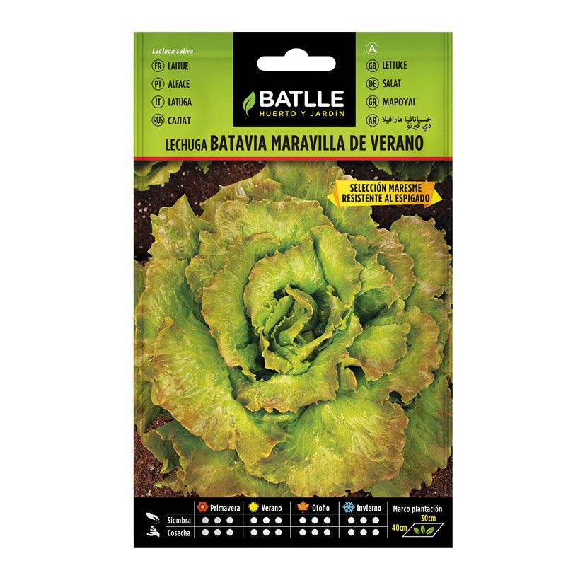 Semillas Lechuga Marv. Verano  10 Bol
