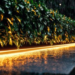 Tira Led Solar Uriel 50lm 30k