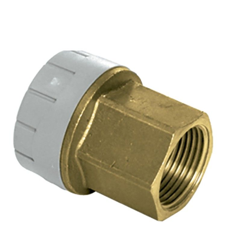 Tubería y accesorios polibutileno ST. HIDRÁULICA Polyplumb Manguito H Rosca H Polibutileno 22-3/4"