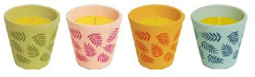 Vela Mosquito Roura Terrac Havaí 25H